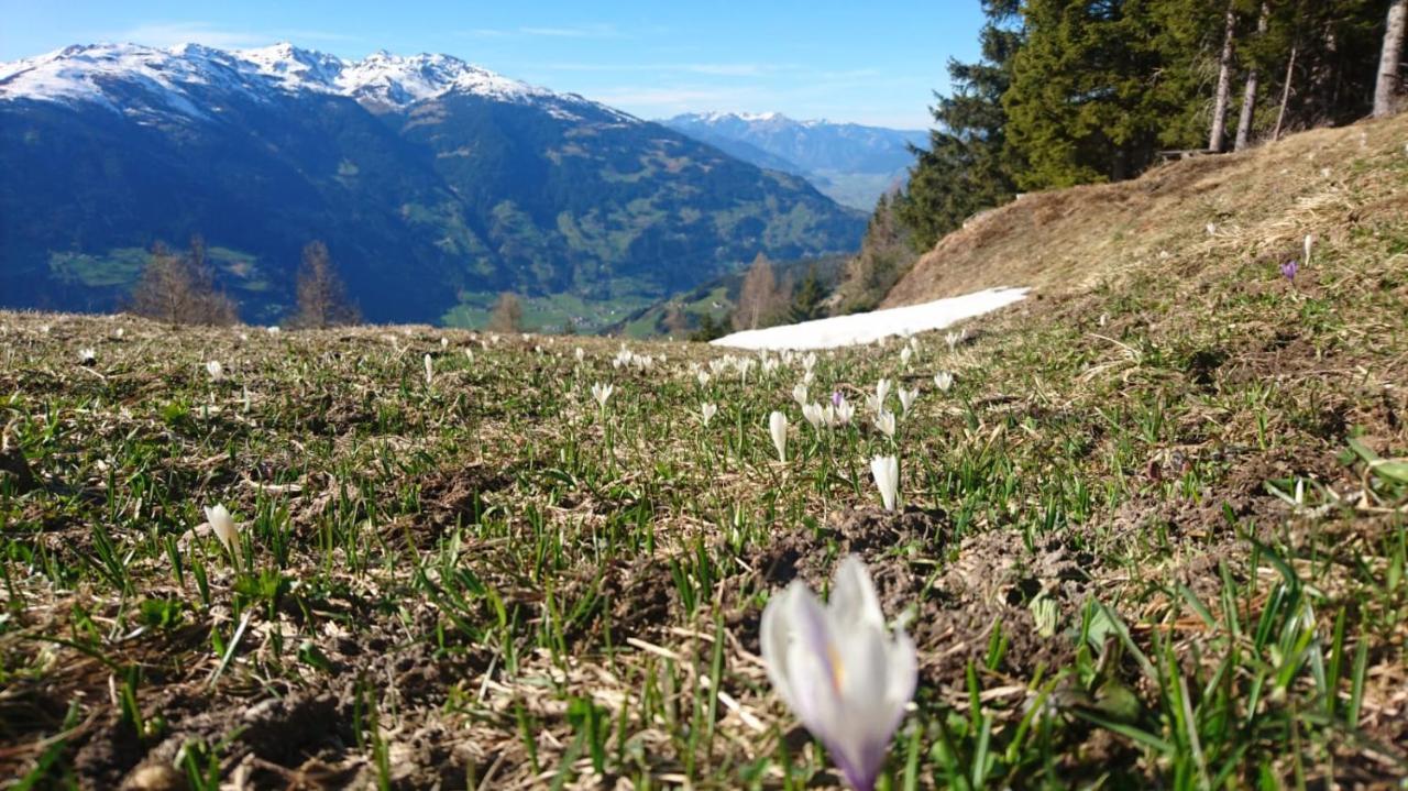 Haus Binder Ξενοδοχείο Ried im Zillertal Εξωτερικό φωτογραφία